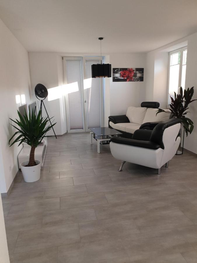 Business Apartment Turgi Экстерьер фото