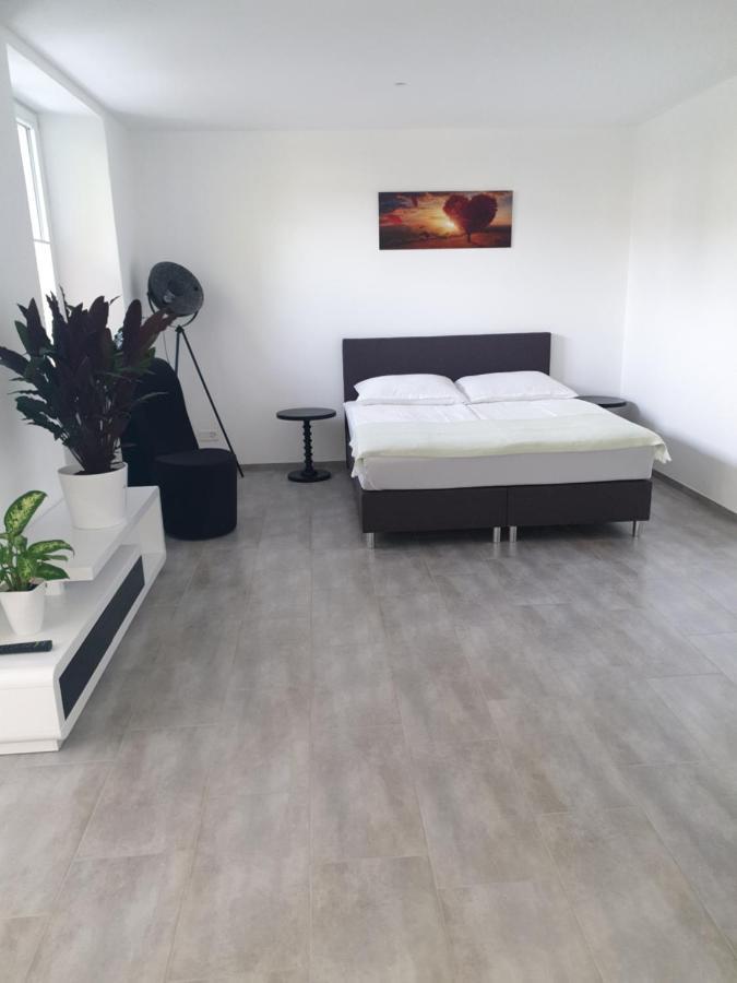 Business Apartment Turgi Экстерьер фото